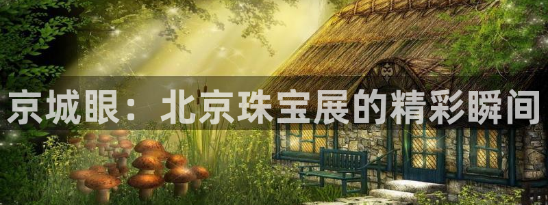 新宝5是谁的：京城眼：北京珠宝展的精彩瞬间