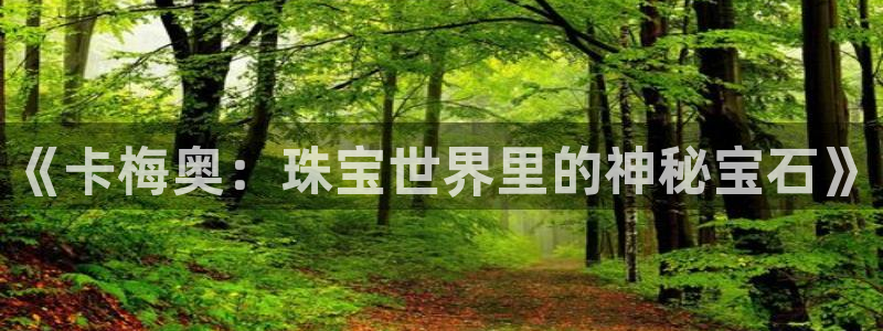 新宝5找找74OOO5：《卡梅奥：珠宝世界里的神秘宝石》