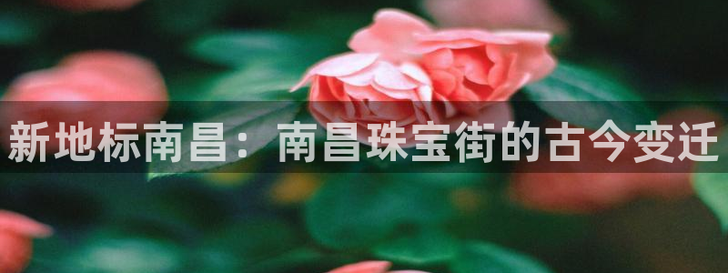 新宝5侹刔：新地标南昌：南昌珠宝街的古今变迁