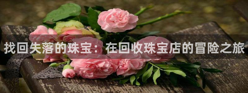 新宝5_测：找回失落的珠宝：在回收珠宝店的冒险之旅