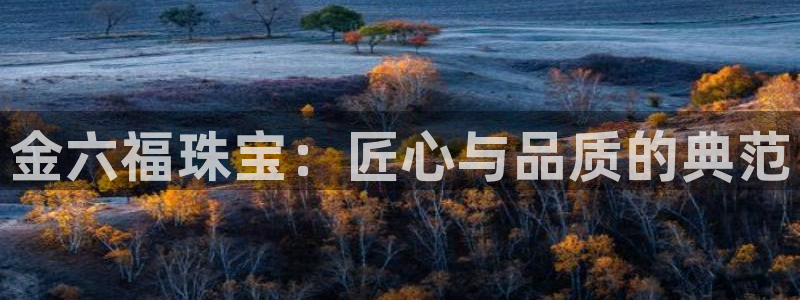新宝5测速平台登录：金六福珠宝：匠心与品质的典范
