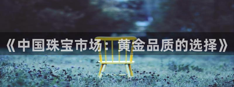 2022新宝骏rs 5：《中国珠宝市场：黄金品质的选择》