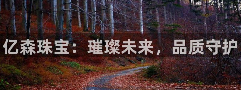 新宝3得74OO5：亿森珠宝：璀璨未来，品质守护