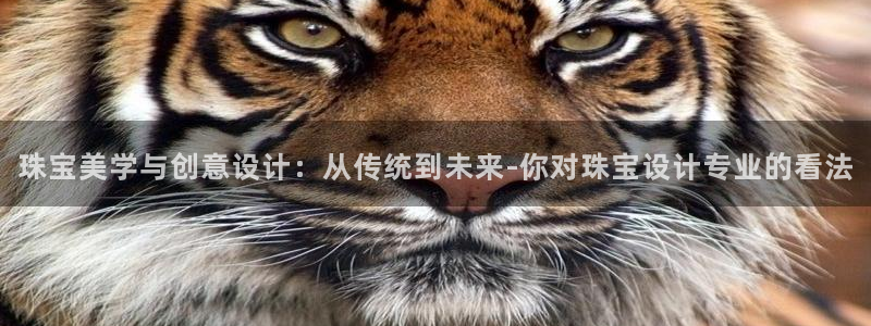 新宝5得74OOO5：珠宝美学与创意设计：从传统到未来-你对珠宝设计专业的看法