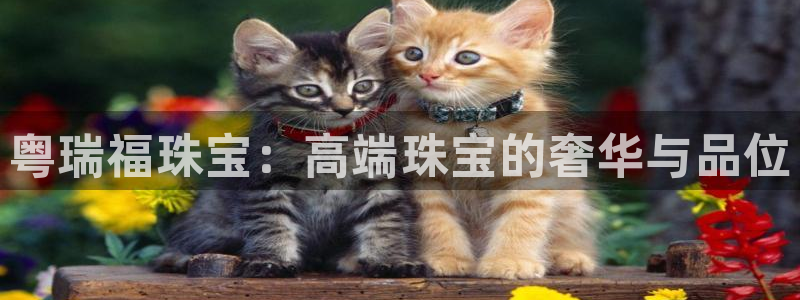 新宝5下载到桌面：粤瑞福珠宝：高端珠宝的奢华与品位