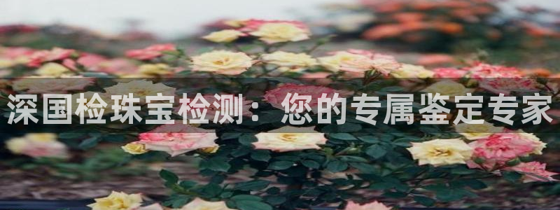 新宝5怎么下载到桌面：深国检珠宝检测：您的专属鉴定专家