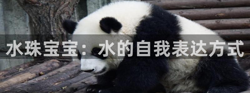 新宝5代理注册：水珠宝宝：水的自我表达方式