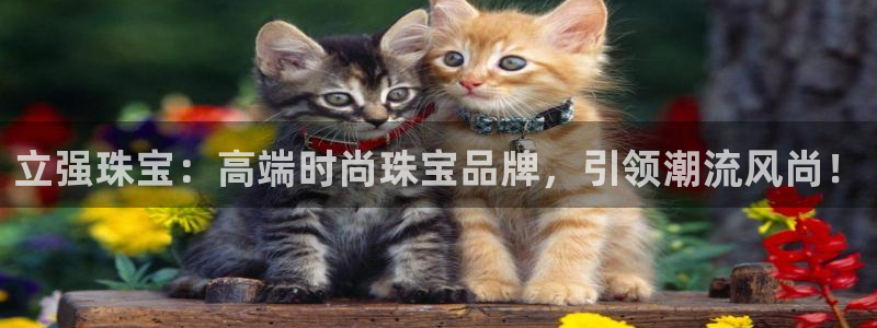 新宝5官网平台：立强珠宝：高端时尚珠宝品牌，引领潮流风尚！