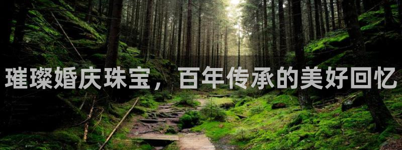 新宝5登录霸：璀璨婚庆珠宝，百年传承的美好回忆
