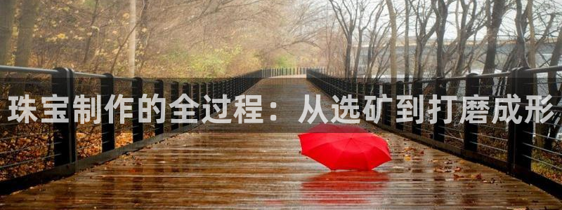 新宝5台卡：珠宝制作的全过程：从选矿到打磨成形