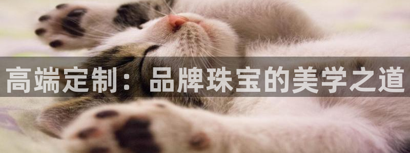 新宝5测速平台登录：高端定制：品牌珠宝的美学之道