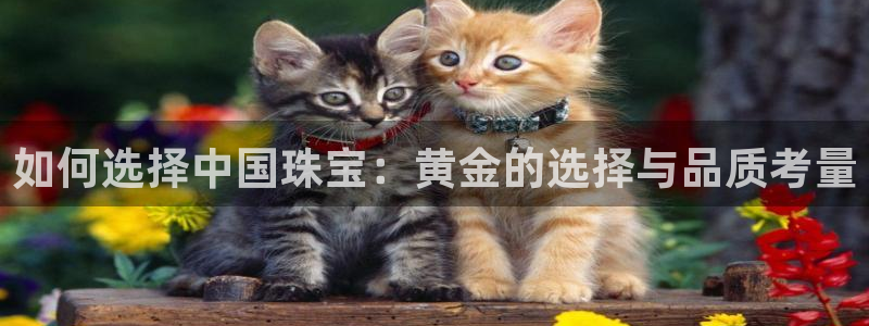 新宝5浗维33 300：如何选择中国珠宝：黄金的选择与品质考量