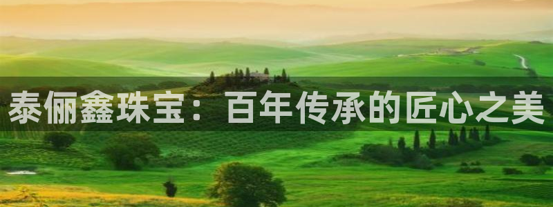新宝集团新宝5：泰俪鑫珠宝：百年传承的匠心之美