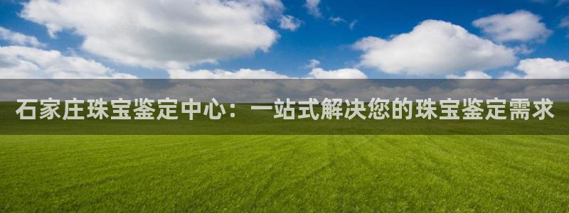 新宝5官网app：石家庄珠宝鉴定中心：一站式解决您的珠宝鉴定需求