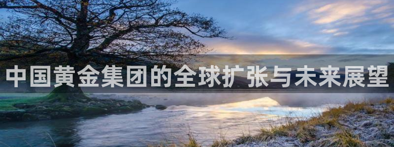新宝5 唯一：中国黄金集团的全球扩张与未来展望