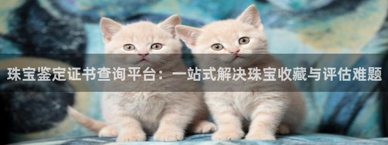 新宝5平台：珠宝鉴定证书查询平台：一站式解决珠宝收藏与评估难题