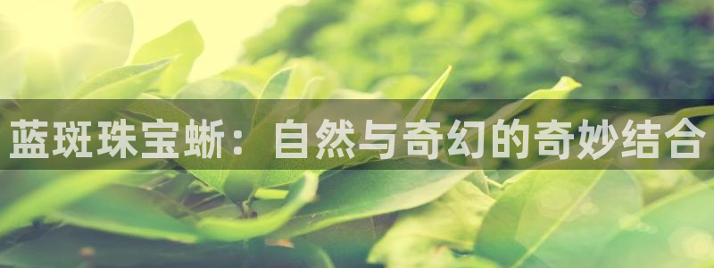 新宝5怎么代理：蓝斑珠宝蜥：自然与奇幻的奇妙结合