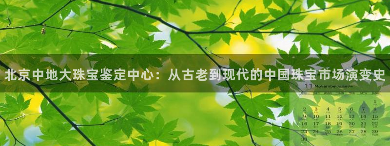 新宝5平台注册：北京中地大珠宝鉴定中心：从古老到现代的中国珠宝市场演变史