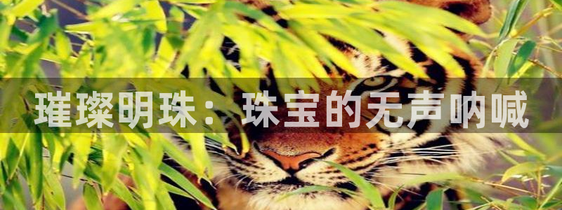 皇冠新宝5：璀璨明珠：珠宝的无声呐喊