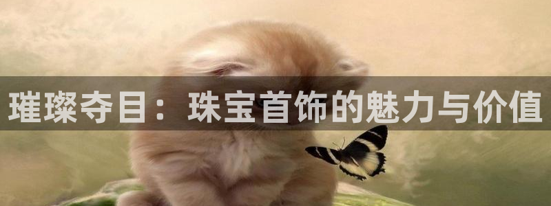 新宝5官网：璀璨夺目：珠宝首饰的魅力与价值