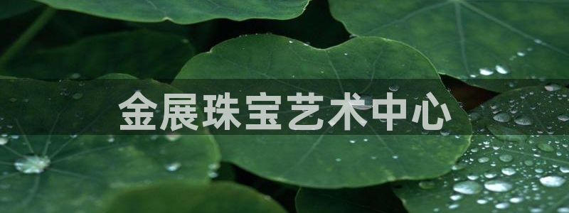 新宝5侹刔：金展珠宝艺术中心