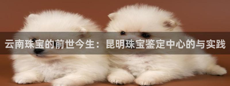 有人知道新宝5么：云南珠宝的前世今生：昆明珠宝鉴定中心的与实践