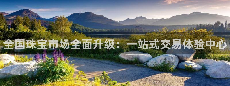 新宝5怎么代理：全国珠宝市场全面升级：一站式交易体验中心