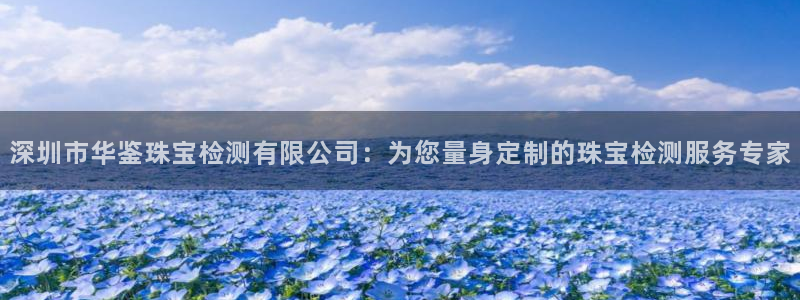 新宝5登录测速中心：深圳市华鉴珠宝检测有限公司：为您量身定制的珠宝检测服务专家