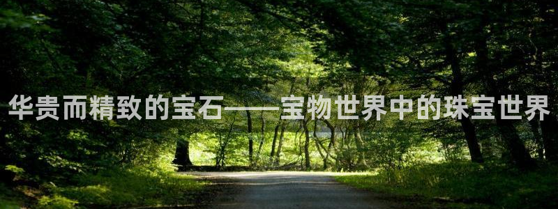 新宝5日：华贵而精致的宝石——宝物世界中的珠宝世界