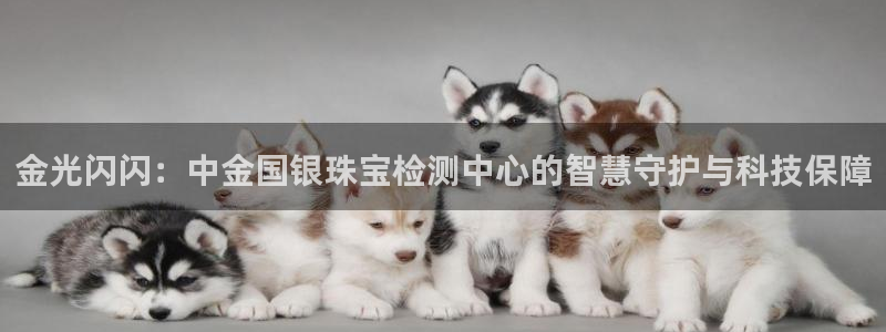 新宝速5：金光闪闪：中金国银珠宝检测中心的智慧守护与科技保障