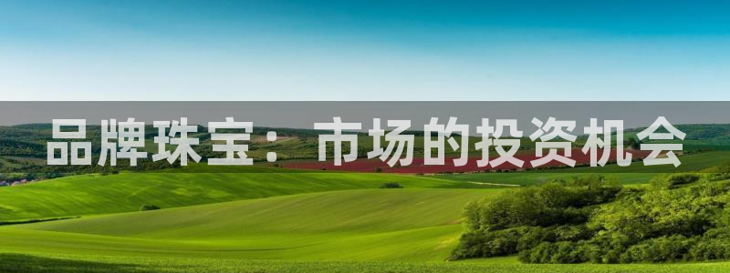 新宝5登录网址：品牌珠宝：市场的投资机会