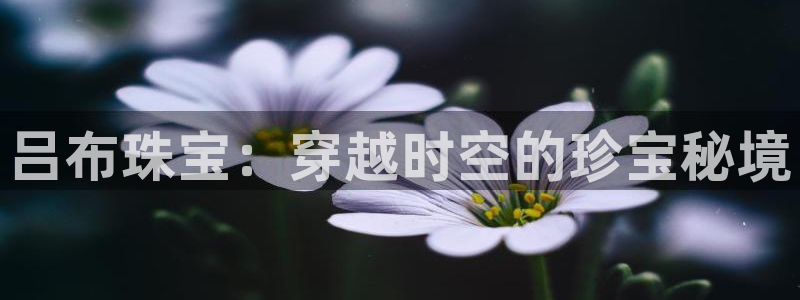 新宝5授权：吕布珠宝：穿越时空的珍宝秘境