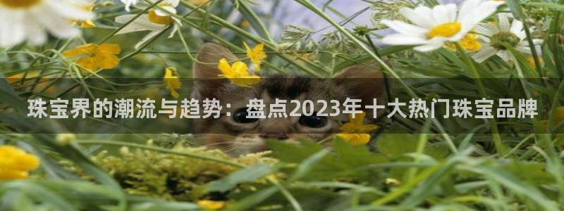 新宝5玩法：珠宝界的潮流与趋势：盘点2023年十大热门珠宝品牌