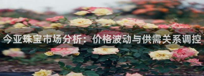 新宝5怎么下载到桌面