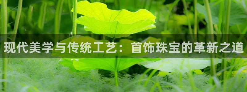 新宝5 代理：现代美学与传统工艺：首饰珠宝的革新之道