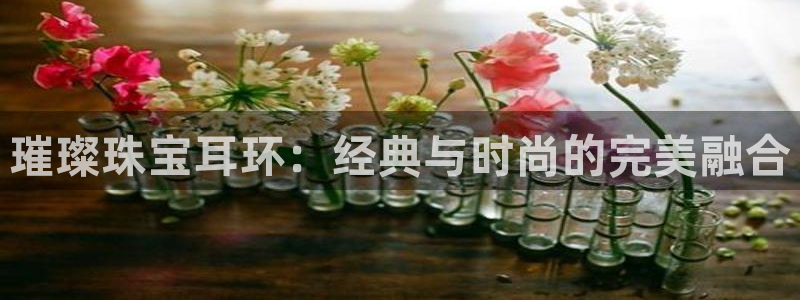 新宝5系列：璀璨珠宝耳环：经典与时尚的完美融合