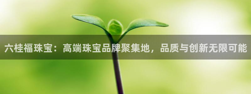 新宝5登录注册：六桂福珠宝：高端珠宝品牌聚集地，品质与创新无限可能