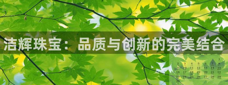 新宝5娱乐代理：洁辉珠宝：品质与创新的完美结合