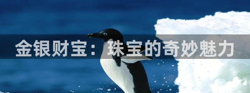 新宝5注册登录：金银财宝：珠宝的奇妙魅力