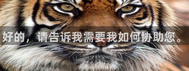 新宝5苹果手机下载：好的，请告诉我需要我如何协助您。