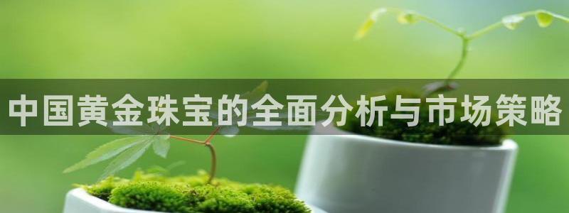 新宝5娱乐然：中国黄金珠宝的全面分析与市场策略