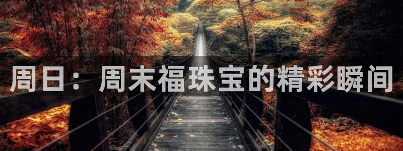 新宝5娱乐注册：周日：周末福珠宝的精彩瞬间