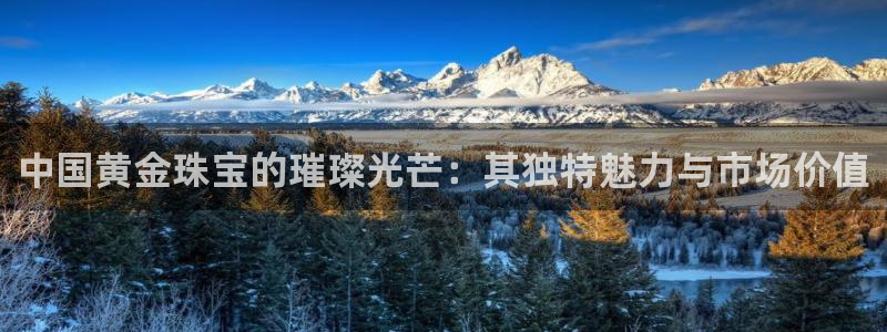 新宝5飞355051：中国黄金珠宝的璀璨光芒：其独特魅力与市场价值