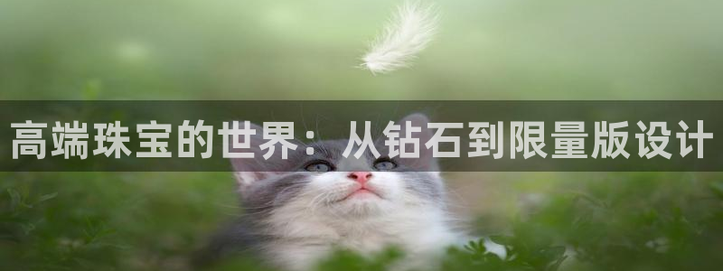 新宝5上70 667：高端珠宝的世界：从钻石到限量版设计