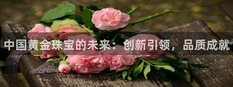 新宝5注册测速登录：中国黄金珠宝的未来：创新引领，品质成就