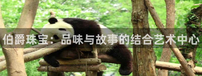 新宝5娱乐代理：伯爵珠宝：品味与故事的结合艺术中心