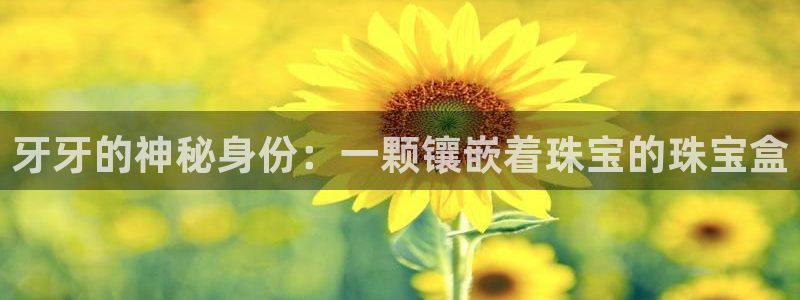 新宝5月：牙牙的神秘身份：一颗镶嵌着珠宝的珠宝盒