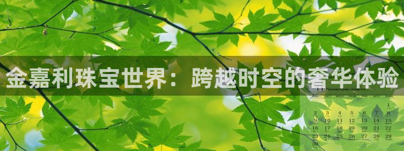 新5宝：金嘉利珠宝世界：跨越时空的奢华体验
