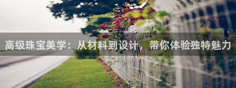 新宝股东王听2 5 5：高级珠宝美学：从材料到设计，带你体验独特魅力