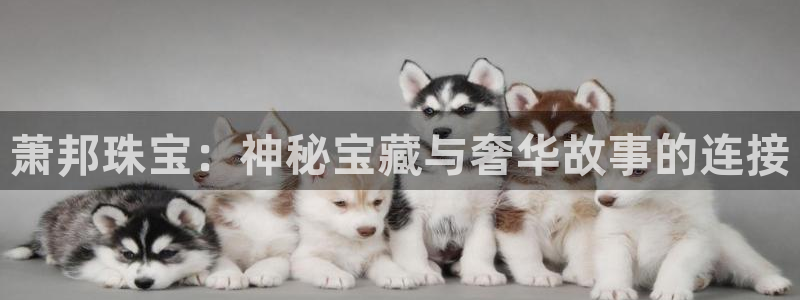 新宝5天：萧邦珠宝：神秘宝藏与奢华故事的连接